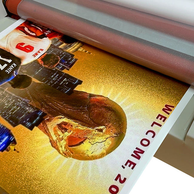 Daqin Laptop Screen Die Cut Sticker Maker Machine que imprime pegatinas de vinilo