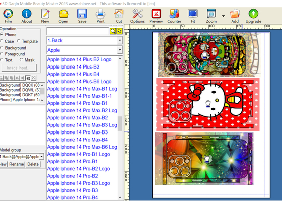 Daqin Laptop / Juegos de video Software de belleza de PC pegatinas personalizadas