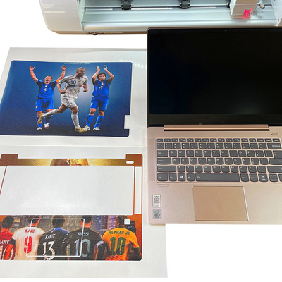 Daqin Laptop Screen Die Cut Sticker Maker Machine que imprime pegatinas de vinilo