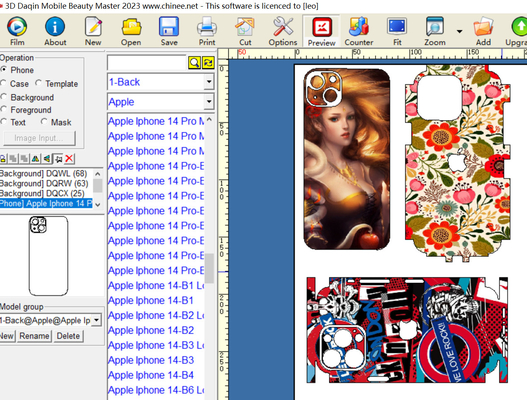 Daqin Laptop / Juegos de video Software de belleza de PC pegatinas personalizadas