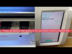 Película (s